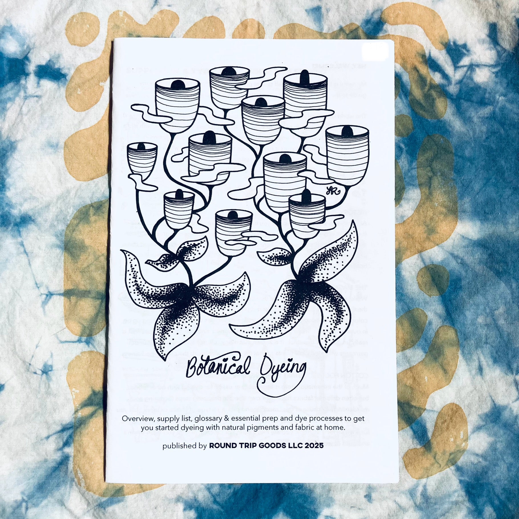 Botanical Dyeing 101 Zine