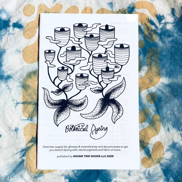 Botanical Dyeing 101 Zine
