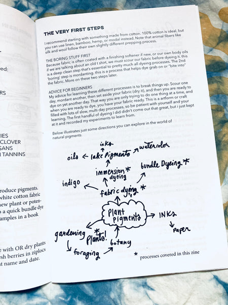 Botanical Dyeing 101 Zine