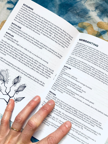 Botanical Dyeing 101 Zine